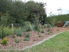 ipcc_mallow-bee-garden-designed-by-the-secret-garden