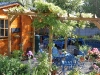 Our pretty pergola