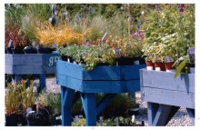Garden centre display tables 2003