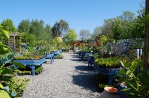 Garden_Centre