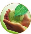 greenhands