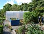 kitchengarden