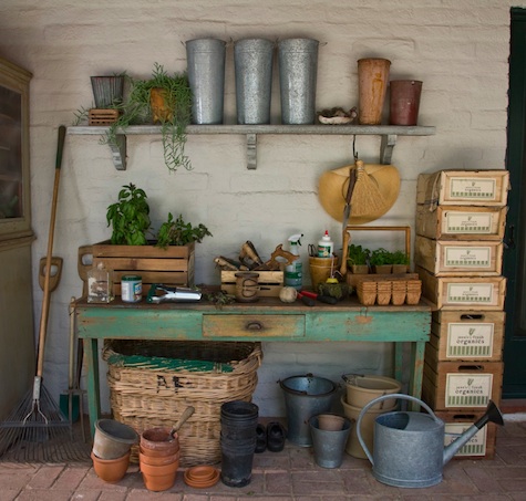 gardenremediesshedjpg