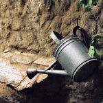wateringcan-thumbjpg