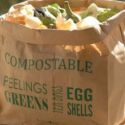 -compostable-kitchen-waste-liners-for-the-burgon-ball-compost-bin-loopthumbjpg