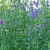 a2-1297169434-smalljpg