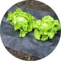 agralan-slug-and-weed-mat-loopthumbjpg