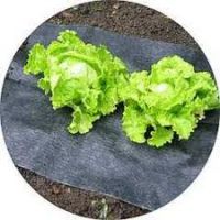 agralan-slug-and-weed-mat-thumbjpg