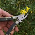apples-to-pears-folding-pocket-secateurs-loopthumbjpg
