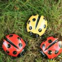 baby-ladybird-loopthumbjpg