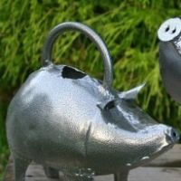 baby-piglet-watering-can-thumbjpg