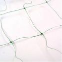 bean-pea-support-net-1315515520-loopthumbjpg
