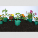 becausewecare-compostable-biodegradble-3-seedling-pots-1327432483-loopthumbpng