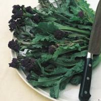 broccoli-purple-sprouting-organic-thumbjpg