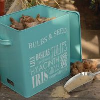 bulb-seed-tin-thumbjpg