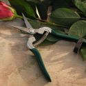 burgon-ball-flower-and-fruit-snip-1324416283-loopthumbjpg