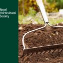 burgon-ball-ground-rake-1324415795-loopthumbjpg