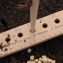 burgon-ball-spacing-rule-loopthumbjpg