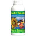garlic-wonder-500ml-concentrate-1333716933-loopthumbjpg