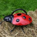 ladybird-watering-can-loopthumbjpg