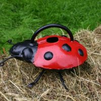 ladybird-watering-can-thumbjpg