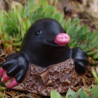 mole-thumbjpg