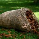 nether-wallop-leaf-sacks-love-em-and-leaf-em-x-3-loopthumbjpg