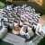 nether-wallop-paper-potter-1326920361-smalljpg