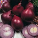 onion-sets-red-baron-1325535984-loopthumbjpg