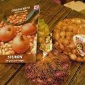 onion-sets-stuttgarter-giant-loopthumbjpg