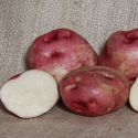 potato-peachbloom-1325521172-loopthumbjpg