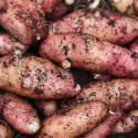 potato-pink-fir-apple-1325520354-loopthumbjpg