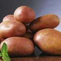 potato-rooster-2kg-loopthumbjpg