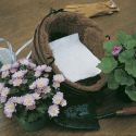 rainmat-container-watering-4-pack-1335021233-loopthumbjpg