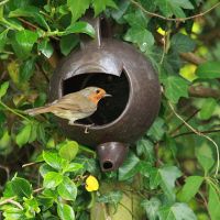 robin-teapot-nester-1316425029-thumbjpg